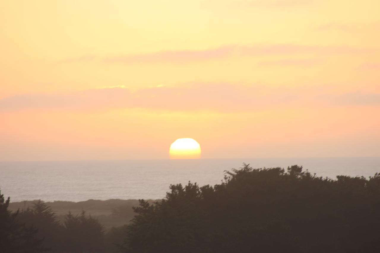 Cabanas Grulla Pichilemu Eksteriør billede