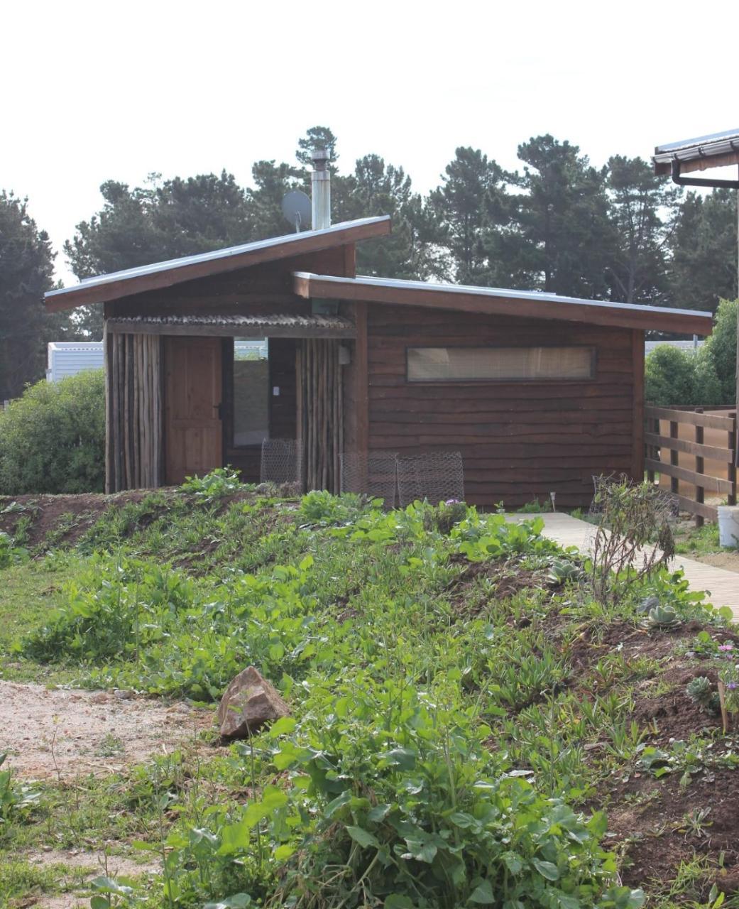 Cabanas Grulla Pichilemu Eksteriør billede